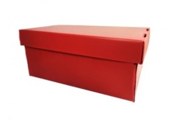 CAIXA ORGANIZADORA SAPATO GOLDEN KRAFT