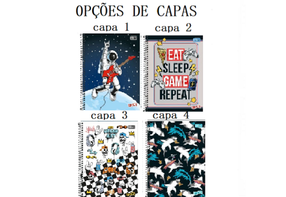 https://www.premiumpapelaria.futurasistemas.com.br/image/cache/data/eftr/Img_ftr_rp_394901-580x400.PNG