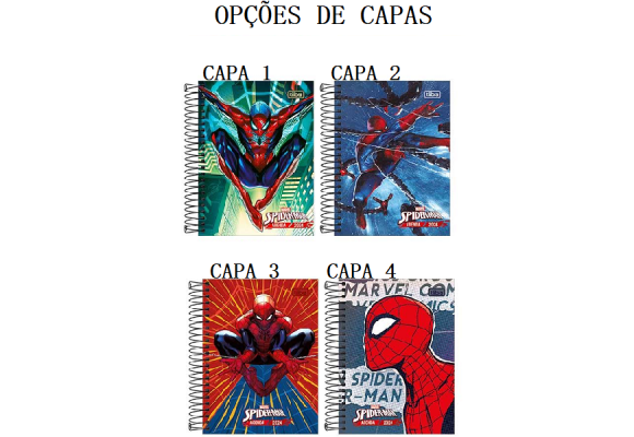 https://www.premiumpapelaria.futurasistemas.com.br/image/cache/data/eftr/Img_ftr_rp_410101-580x400.PNG